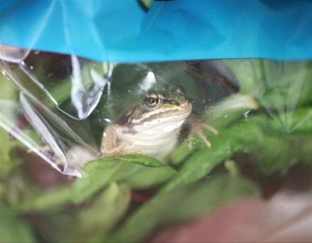 6f86c4dcf25baf716b313d35300ea05b