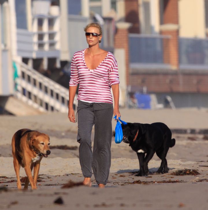 Charlize Theron seen taking a stroll with her two furry companions.