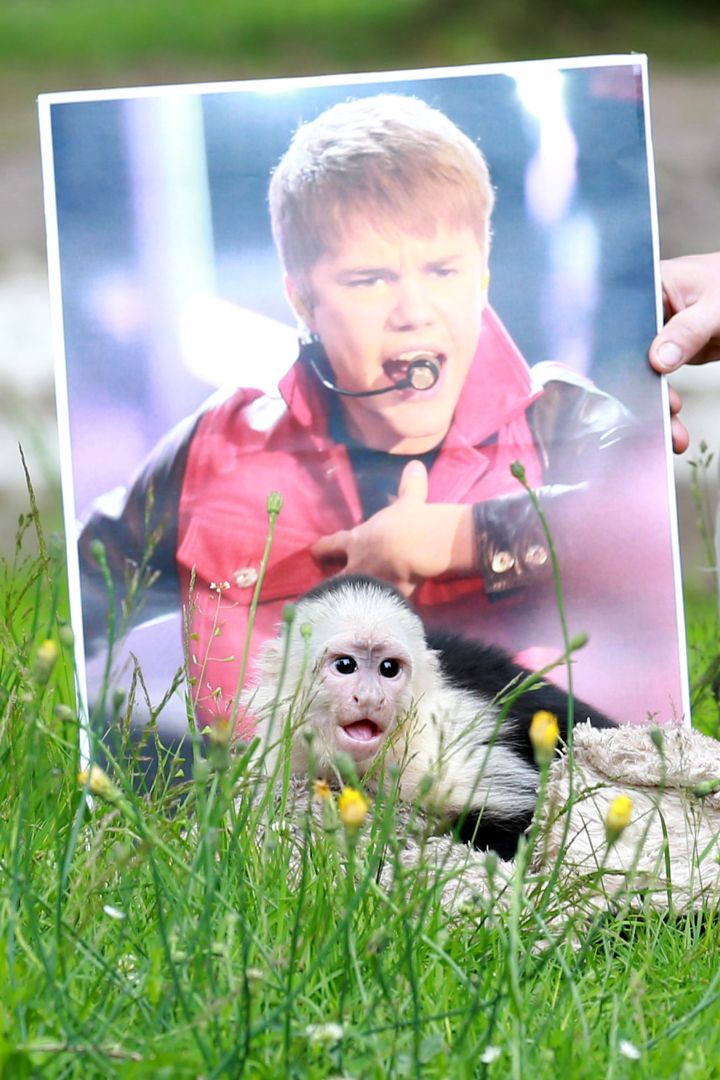 The Biebs took his love for animals a step further when he adopted a pet monkey, Mally. Unfortunately, the monkey was taken away because of international law.