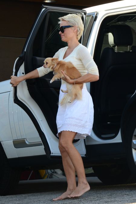 Pamela Anderson with one of her many dogs.