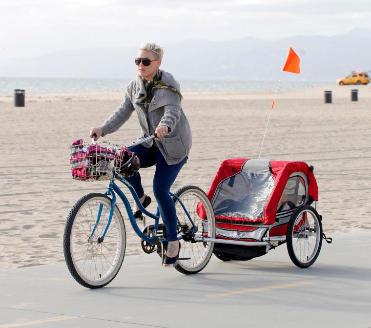 Pink and Cary Hart take their daughter and family members for spin in Santa Monica.