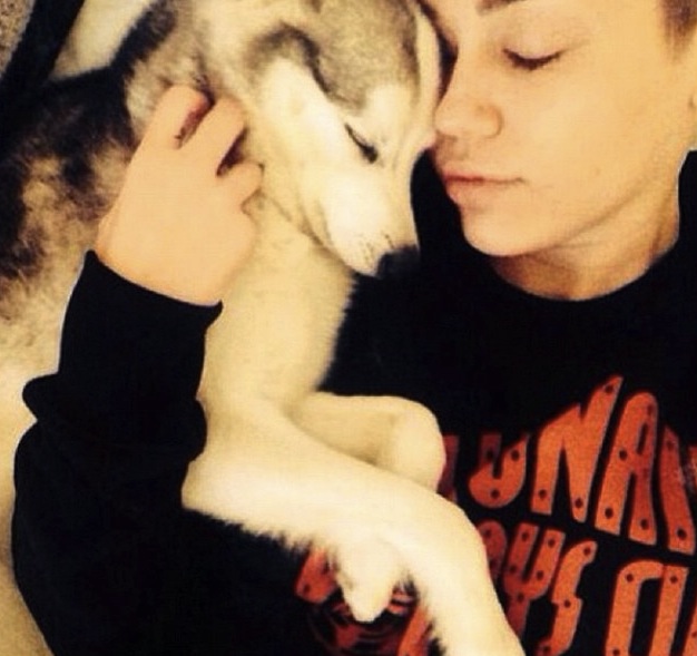 Miley Cyrus rubs her makeup-free face against her dog’s.