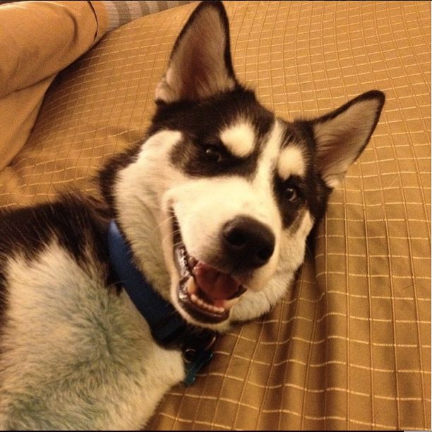 Jody has over 21,000 followers on his IG.