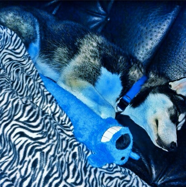 A lot of people love Jody.