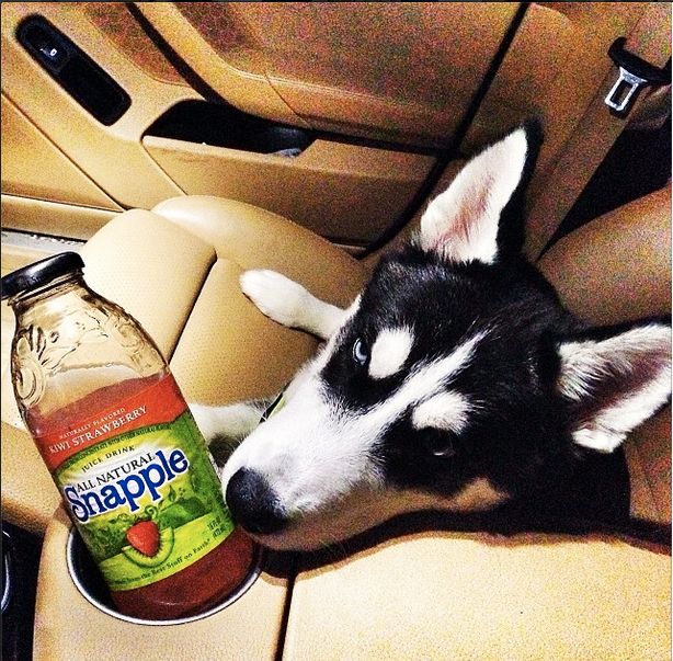 Riff Raff also does a lot for his friend, Jody.