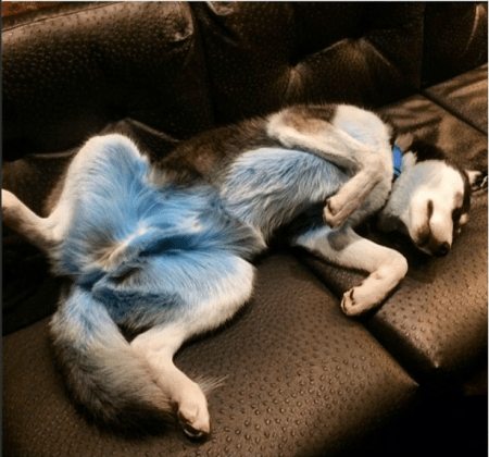 And all of Jody is blue.