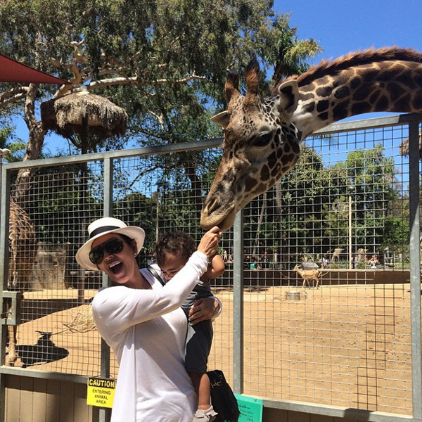 North West feeds the giraffes!
