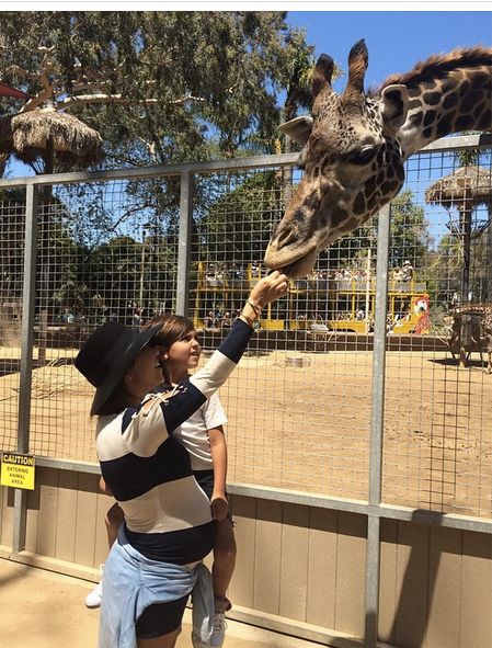 Mason loves to feed the giraffes!