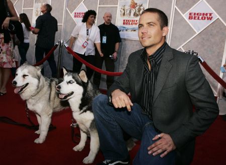 Paul takes a moment to pose with his four-legged co-stars at the “Eight Below” premiere in 2006.