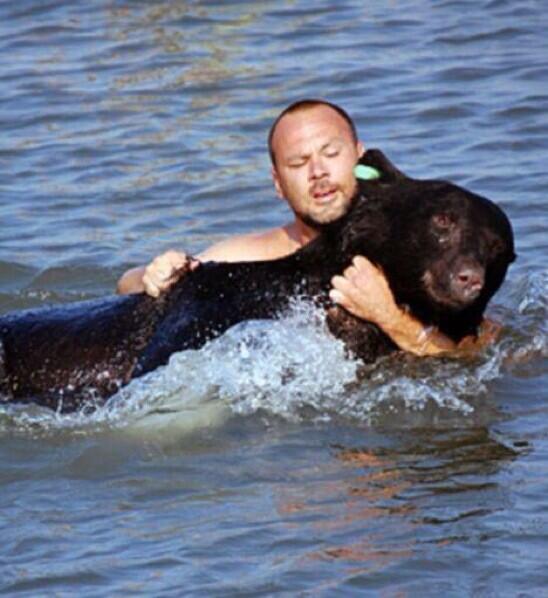 Man Saves Drowning Bear In Florida.