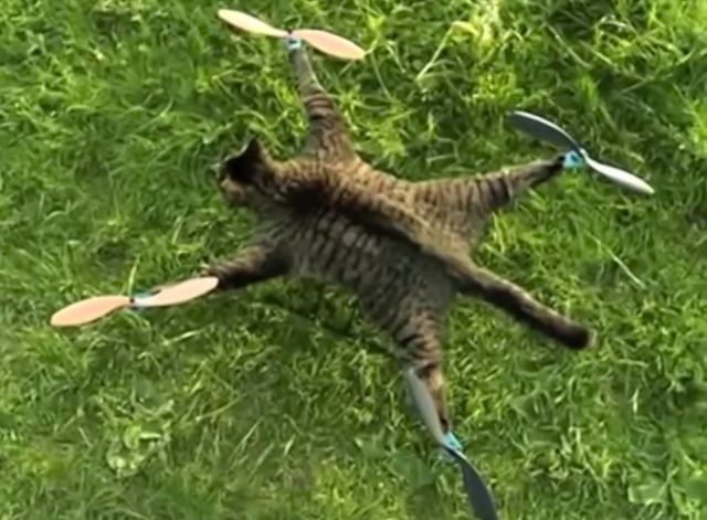 Copter Cat: A Dutch artist stuffed his dead cat’s body and turned it into a remote-controlled helicopter. Yeah.