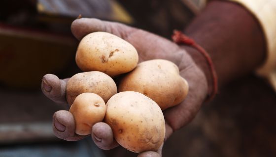 Woman Grows Roots In Vagina After Using Potato As Contraceptive ...