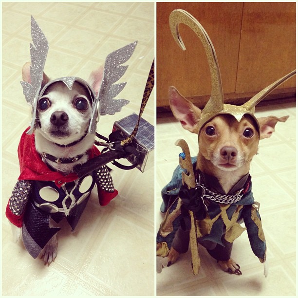 This is Thor and Loki.