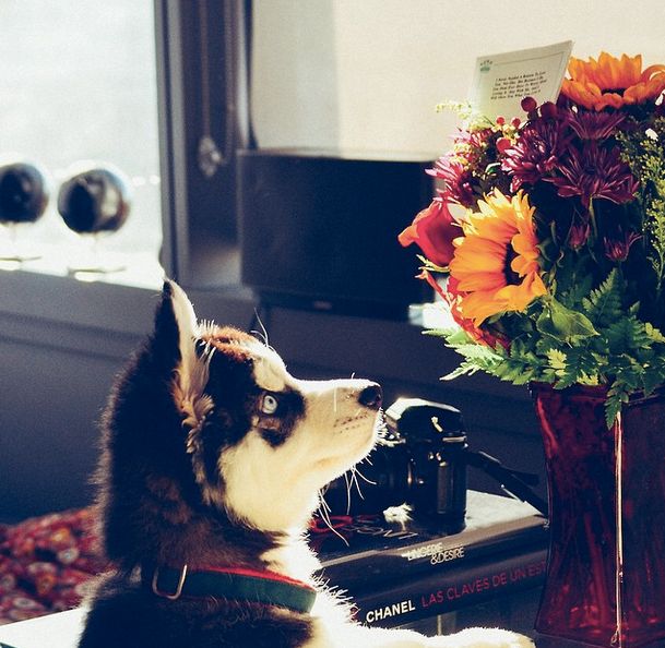 The real winner in their relationship.