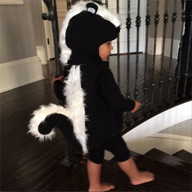 Happy Halloween from cutie Skunk West.