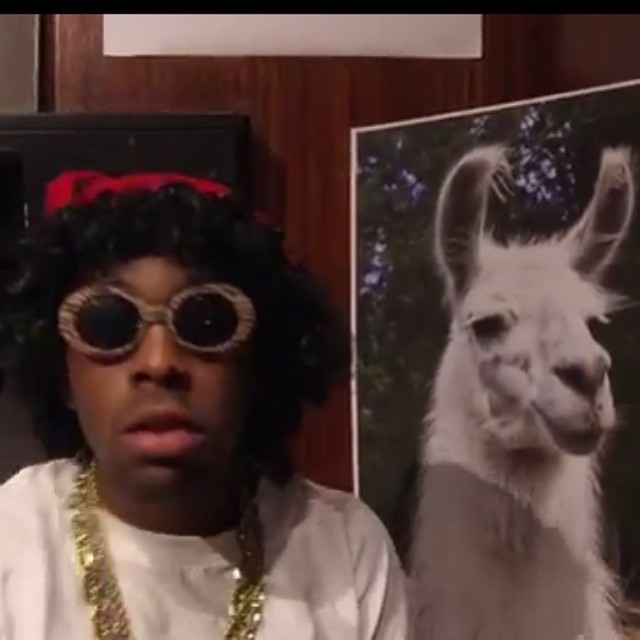 Swag overload in oval-shaped frames.