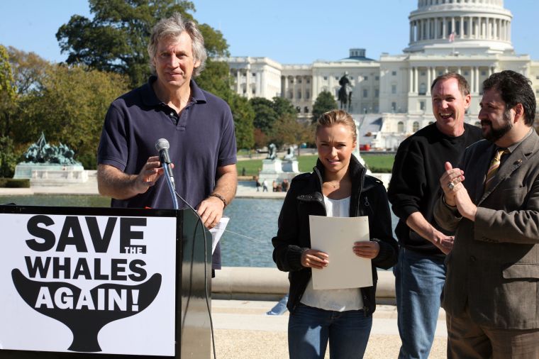 Spokesperson Hayden Panettiere at a conference for her Save the Whales campaign.