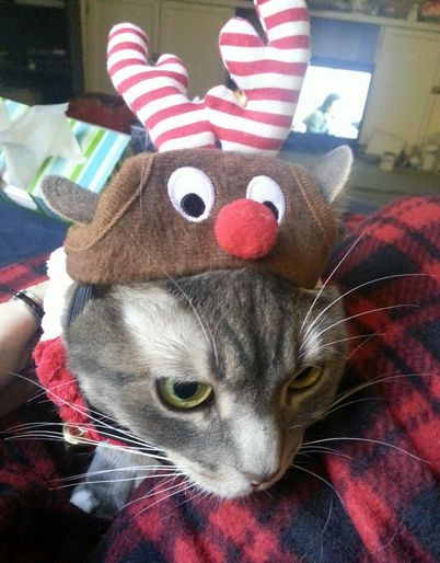 Rudolph The Red Nosed…