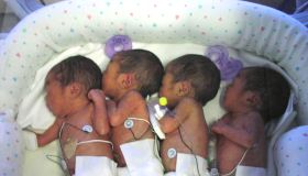 Newborn Quadruplets