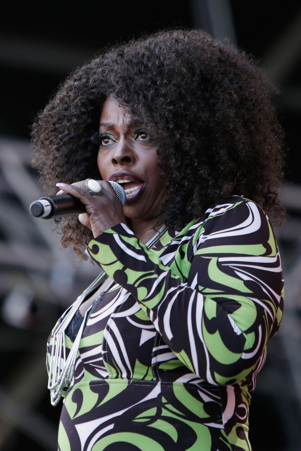 Angie Stone at Soulfest Music Festival