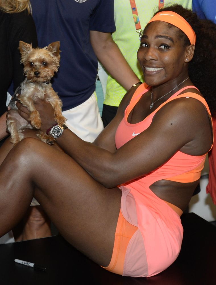 Serena Williams is all smiles as she poses for pictures with her Yorkie.