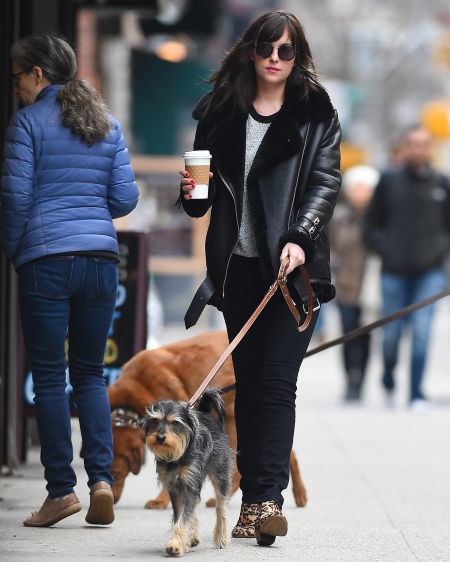What a multitasker! Dakota Johnson walks her dog Zeppelin while making a coffee run in New York City.