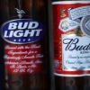 Anheuser-Busch Approaches Mexican Beer Company