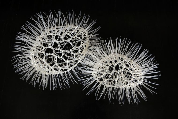 Sui Park is a New York-based artist who was born in Seoul, Korea. Her work involves creating three dimensional forms that are mystical and illusionary.