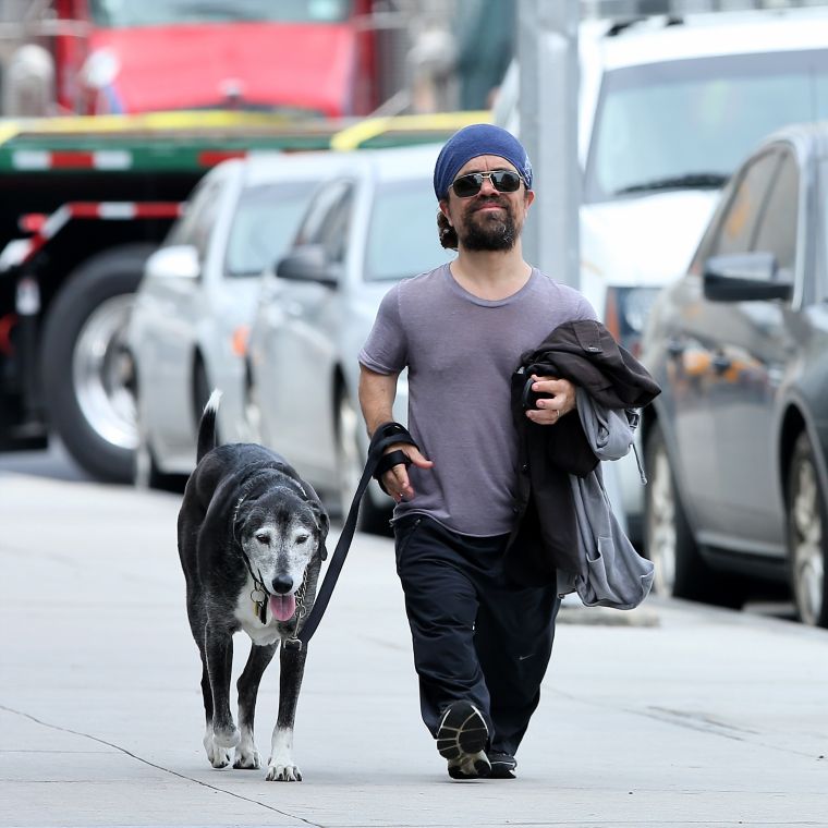 Game Of Thrones actor, Peter Dinklage walks his dog, Kevin in Meatpacking District, New York City.