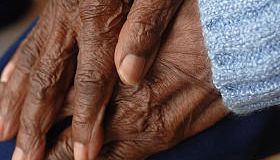 Senior Woman's Hands