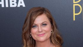 Amy Poehler Difficult People