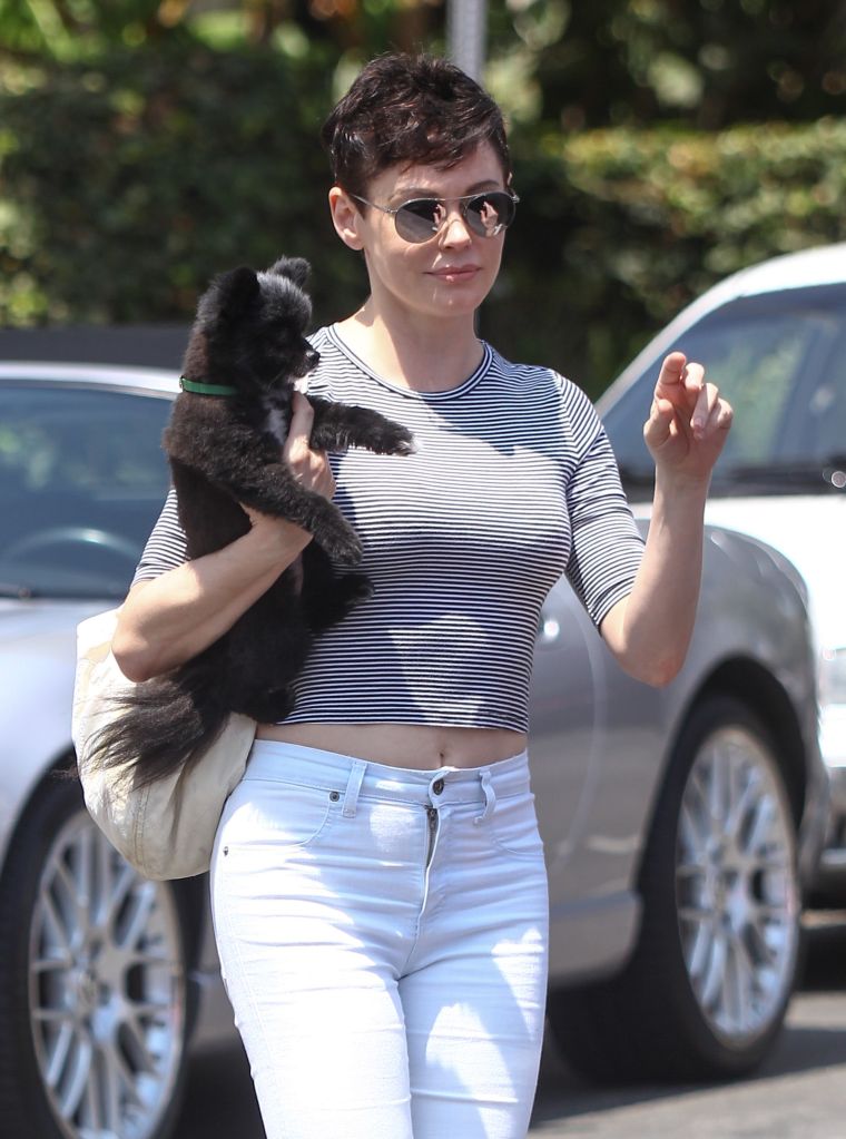 Short hair, don't care! Rose McGowan looks great walking around her hood in Los Angeles, California.