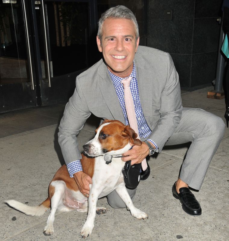 Andy Cohen