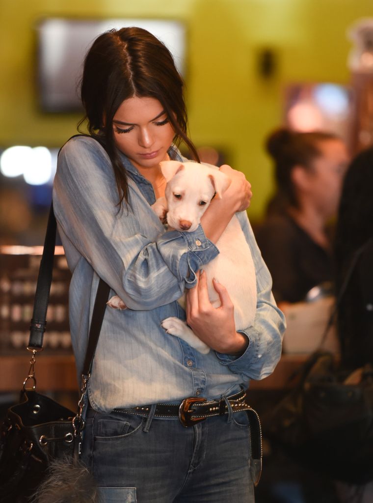 Kendall Jenner