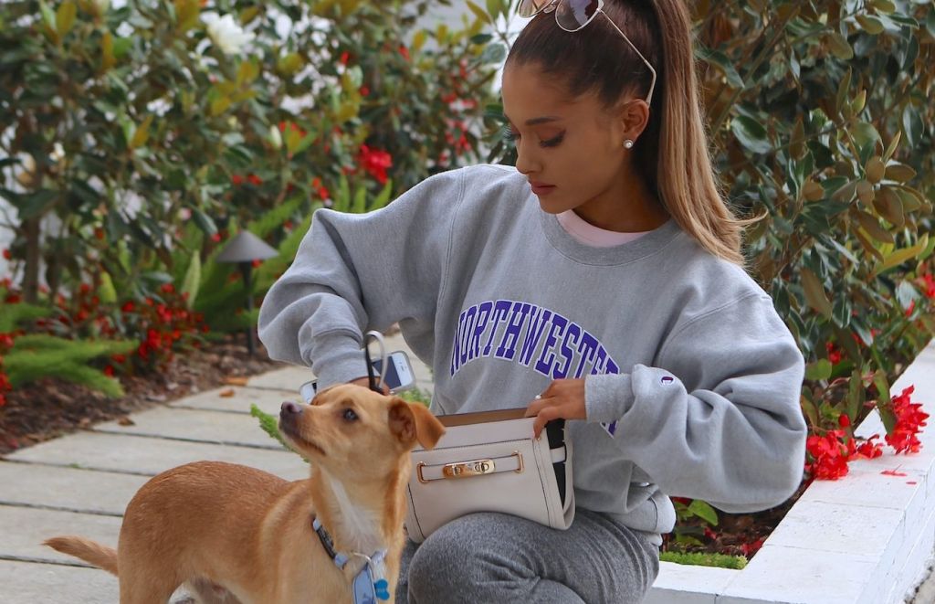 Ariana Grande's Dog Elevated Her Vogue Cover Shoot & The Internet Is Living