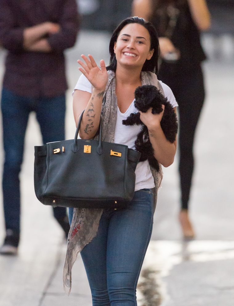 Demi Lovato and her dog Batman hit up "Jimmy Kimmel Live!" in L.A.
