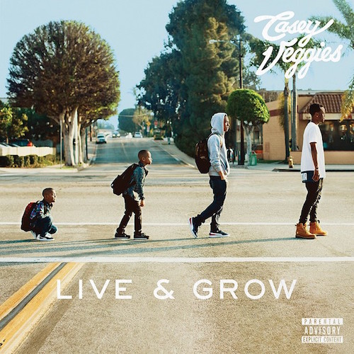 Casey Veggies