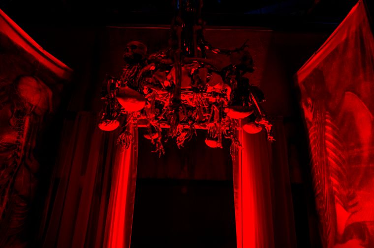 Just a casual chandelier of skeletons…