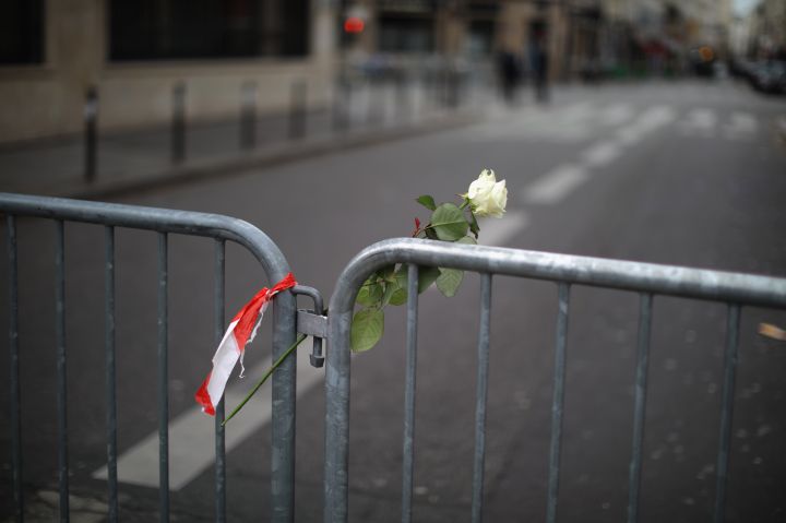 A single rose following multiple terror attacks in the French city of Paris.