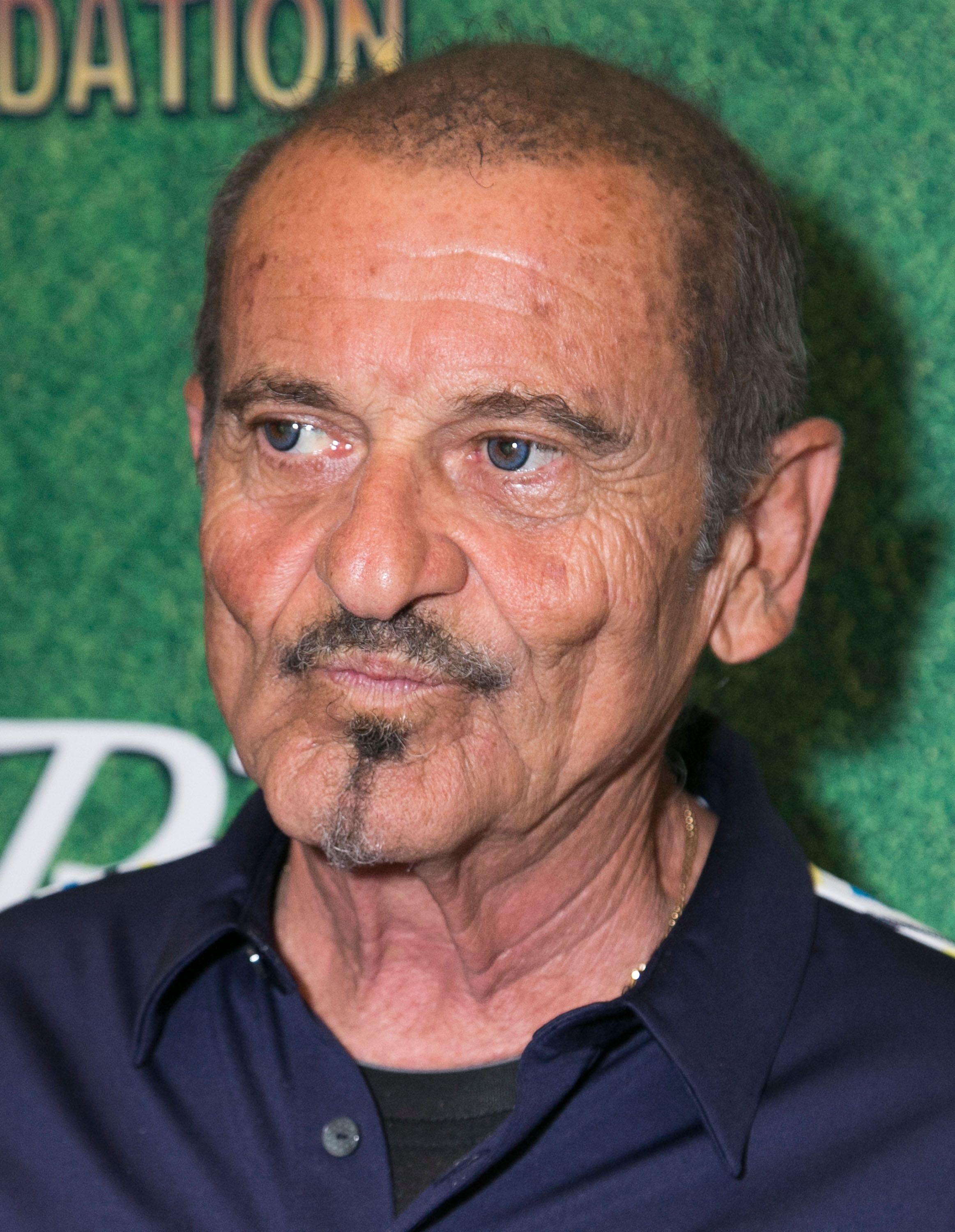 joe pesci