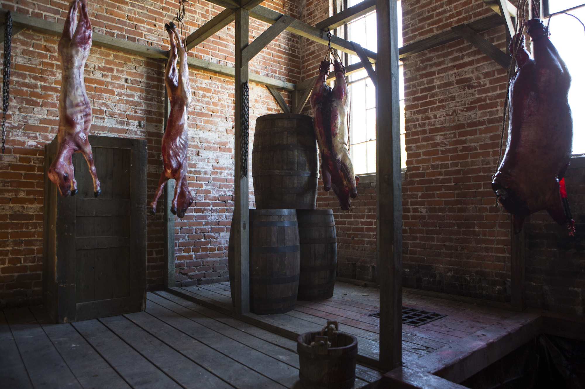 Underground, Jurnee Smollett-Bell, Aldis Hodge, Misha Green,