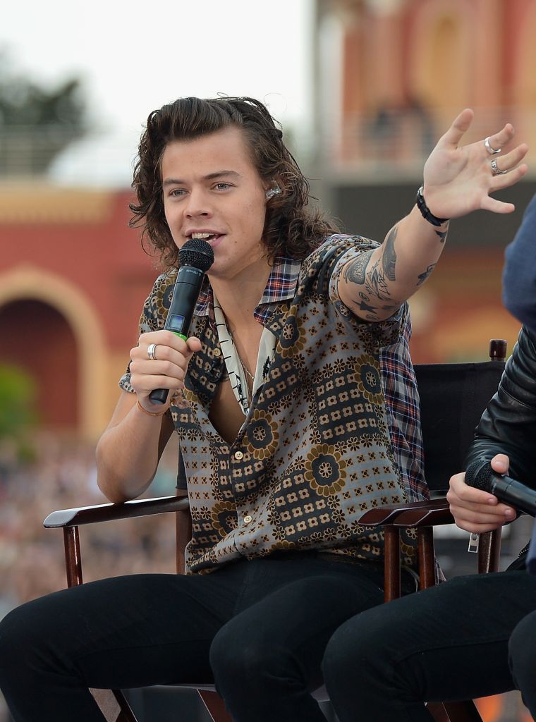 The 1D frontman started to let his mane grow back in 2013.