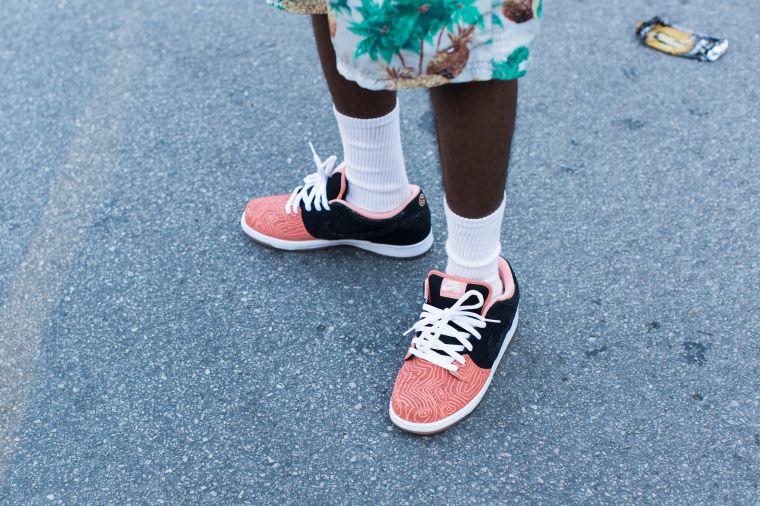 Nike SB Dunk Low “Fish Ladder”