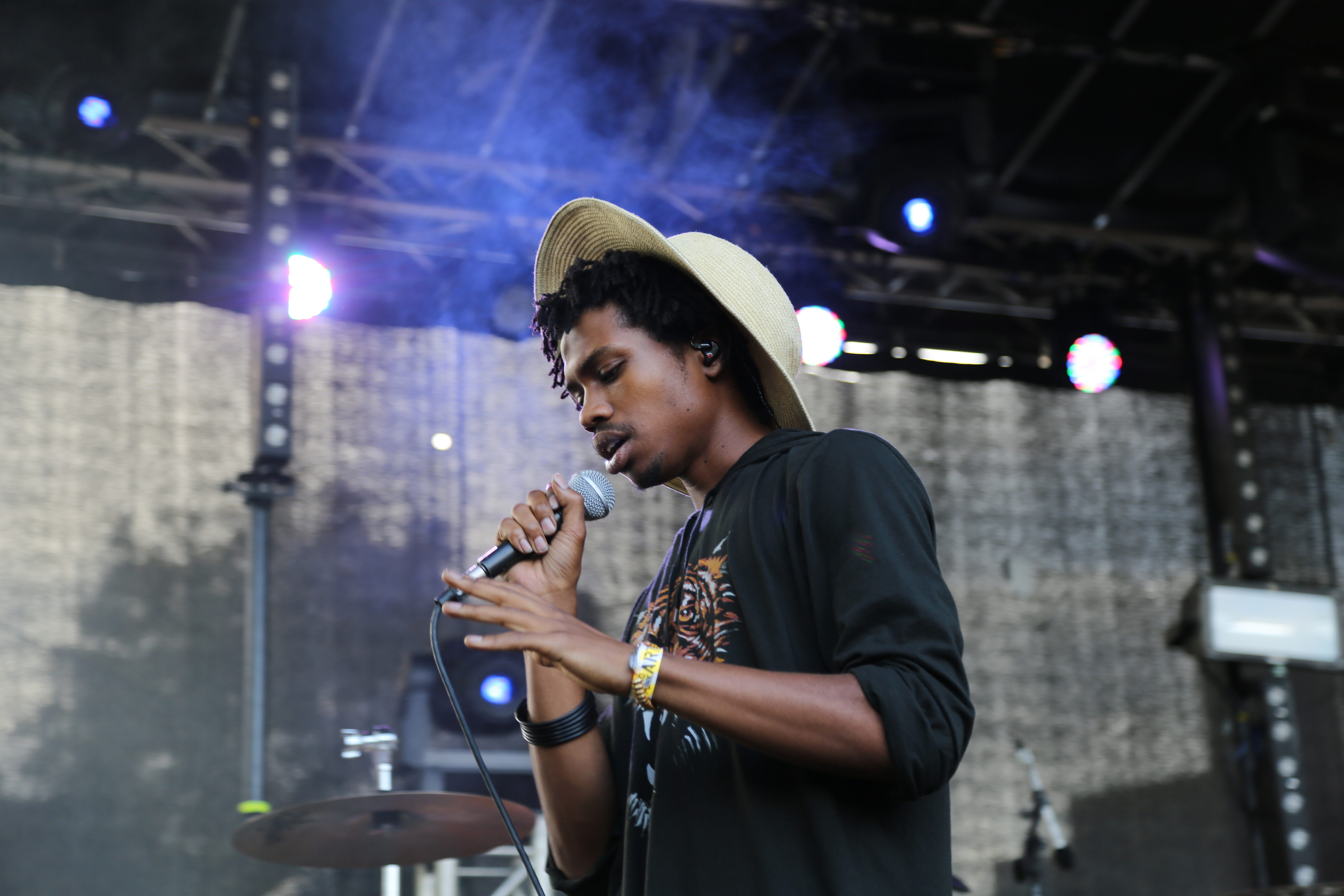 2015 AFROPUNK Music Festival - Day 2