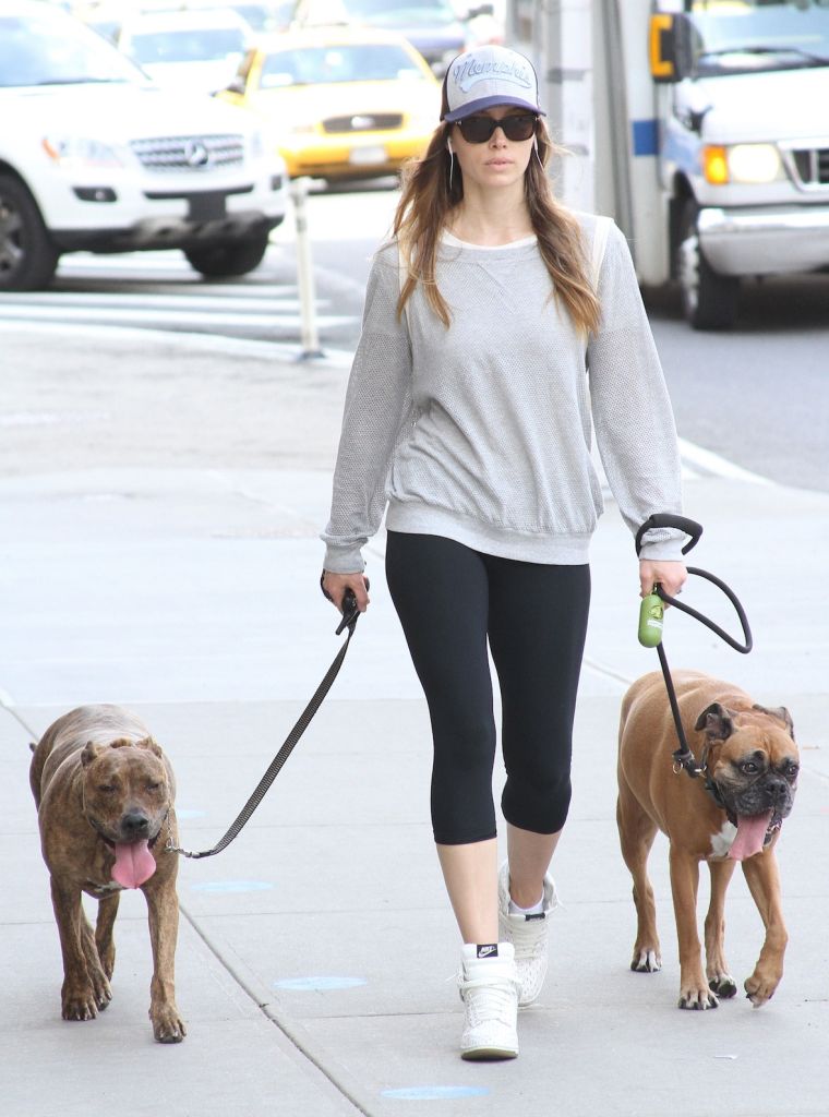 Jessica Biel is all about her four-legged friends.