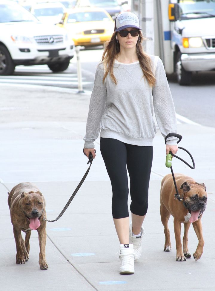 Jessica Biel is all about her four-legged friends.