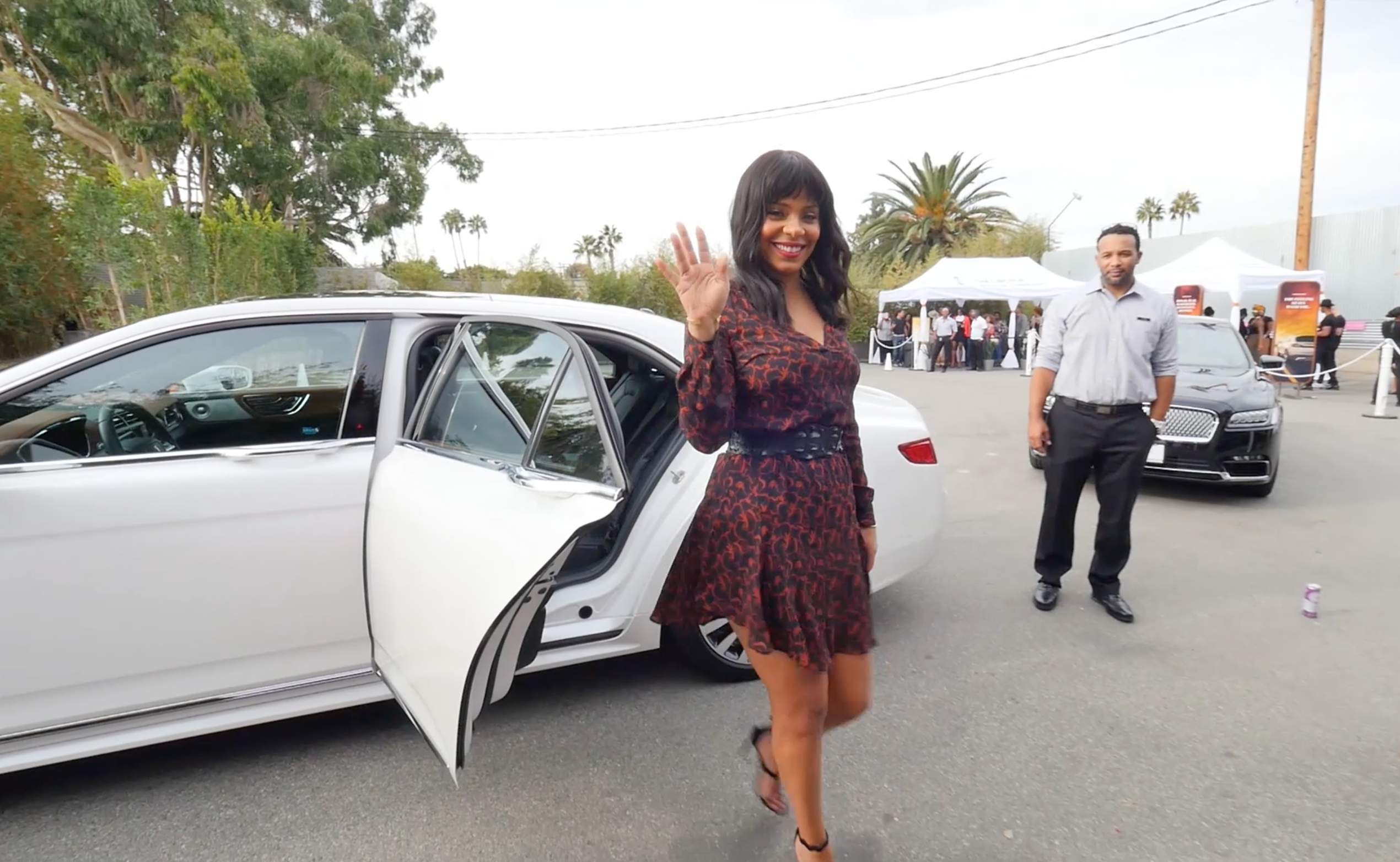 Sanaa Lathan Lincoln