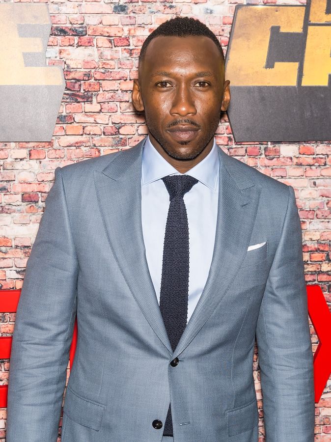 'Luke Cage' New York Premiere