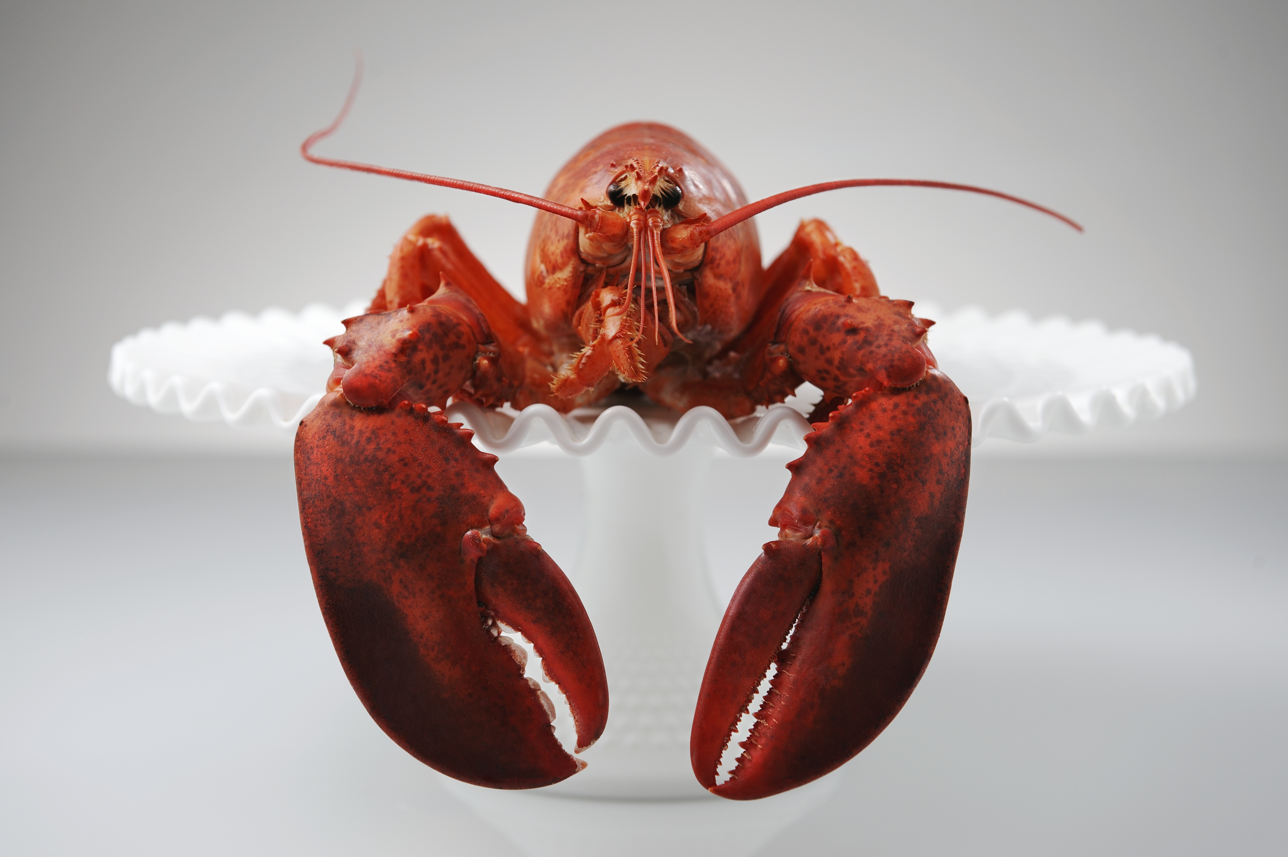 Lobster on cake stand