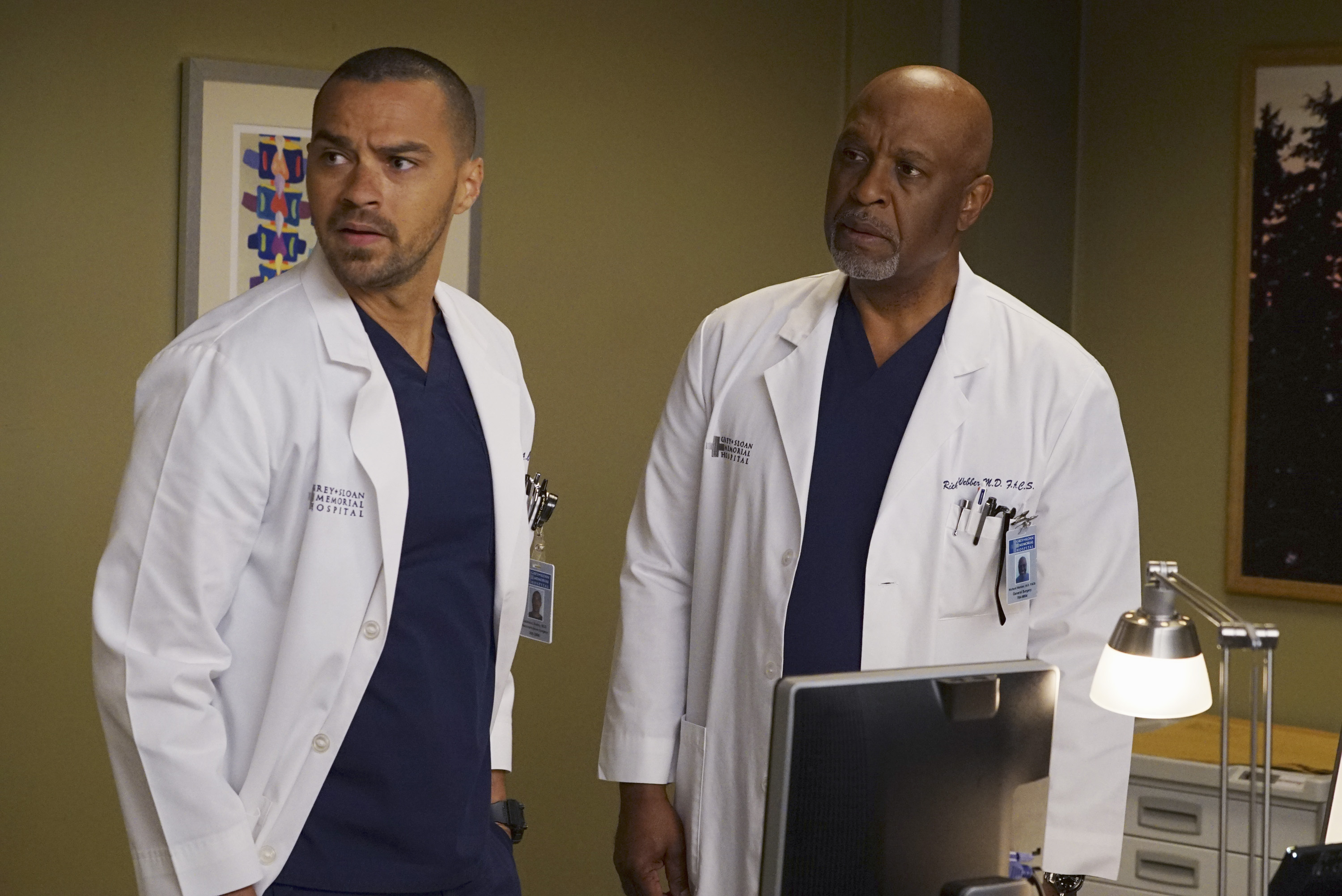 ABC's 'Grey's Anatomy' - Season Twelve